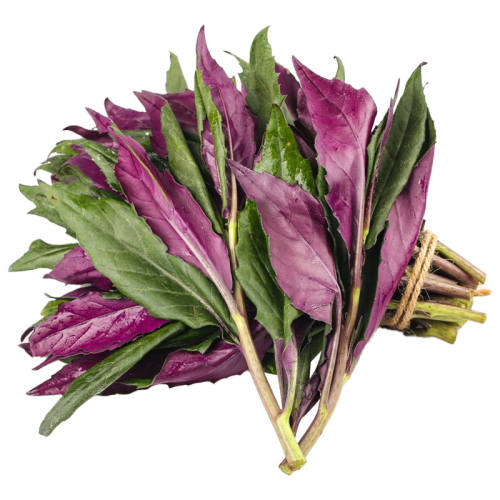 ѪƤ�����ʹ������ϱ��˺챳��ʱ���߲˵����ز���ժ������ʳ�� 500g 8.9Ԫ