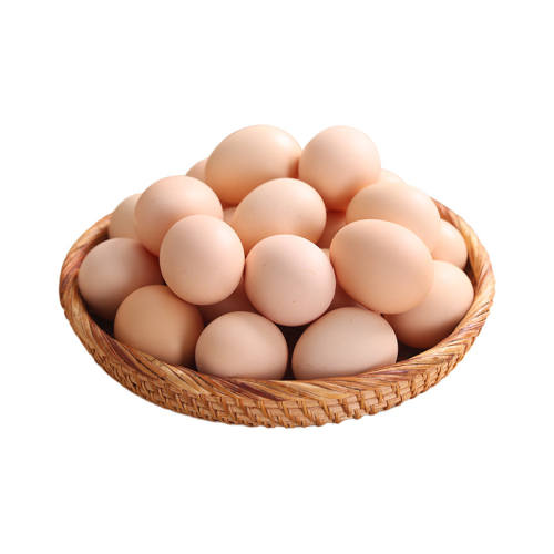 ũ���ּ�ɢ���������ʼ������Ｆ��Ӫ����͵��ݼ������ӵ����ﵰ 10ö �ּ�ɢ�������ʼ���40g 8.1Ԫ