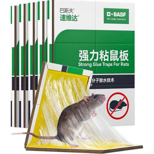 ��˹����������ǿ����ճ��ץ���������׽��մ���ò�������5Ƭ 1�� 31.41Ԫ