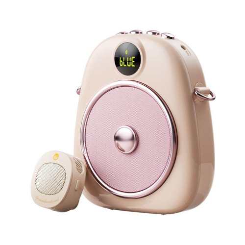 ���ڲ���������ʦר�á�����С�۷����������ղ�+���ﳵ����������?˳�����  199Ԫ