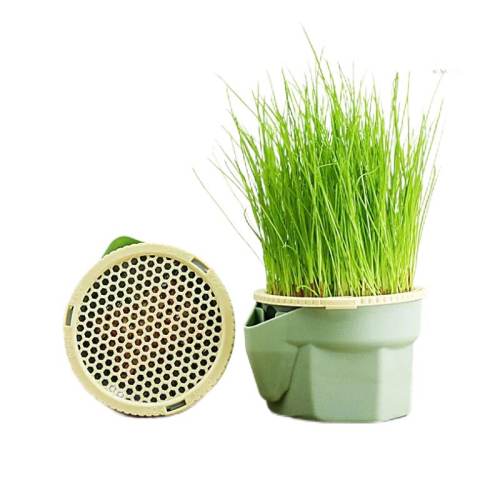 ɭɭè�ݱ������ֲ���ëè�����ԡ���Ȼè�� �����ֲݡ�����ˮ��è�ݱ�-������С���*4 1��  18.93Ԫ��3��(��6.31Ԫ/��)