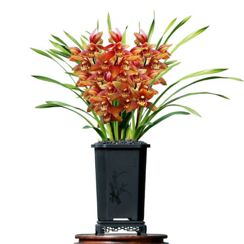 ��Դ������ޥ�������˴���Ũ�������������2׳��*���꿪��  7.64Ԫ