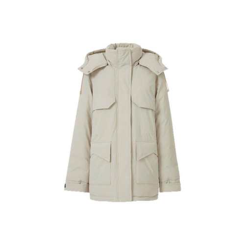 ���������г������жñ��ɫ M  2036.43Ԫ��3��(��678.81Ԫ/��)