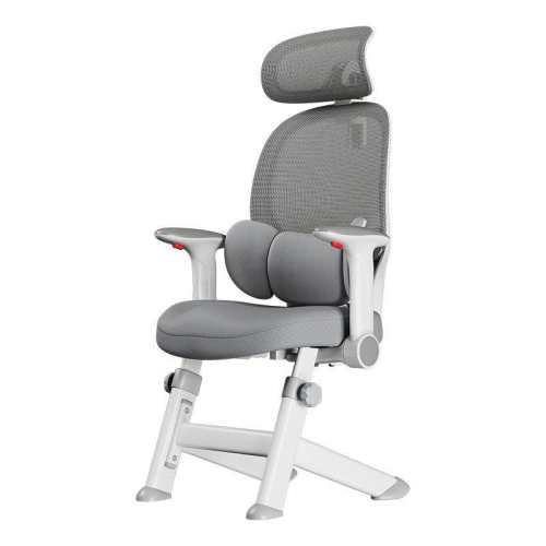 ���ڲ�����ϰ����ѧϰ��������x19��-���ǽš��ľ�������ѡ�� ������צ/������צ ���ڷ���  656.2Ԫ(������)