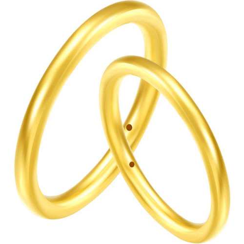 �������ƽ�����������Ȧ��ָ19�Ź����ָ 0.76g  1128.55Ԫ