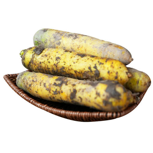 �½����ܲ���ץ�����ϻ�ɫ���ܲ�����ֱ���»�ũ���������ĺ��ܲ� 3��    9.07Ԫ