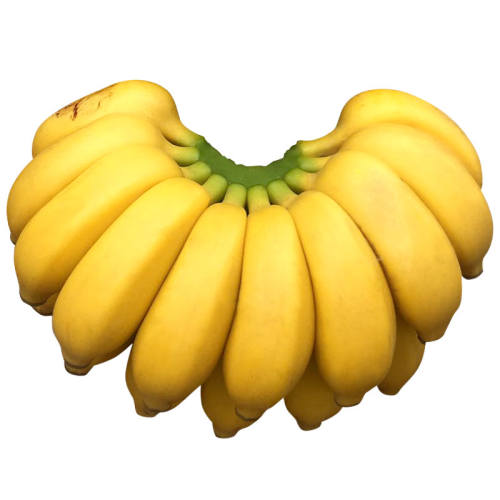 ���ڹ���С�׽���������ˮ��С�㽶����ֱ��С�Ž����� 1�� 5.33Ԫ