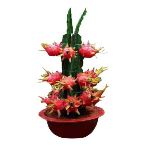 ���Ļ������޽��������ϱ����߲������Ļ�������1�á�30-40cm�� 30cm(��)-40cm(����)  8.74Ԫ