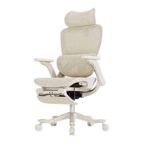 [�Լ۱�TOP]Everseat��ѧ��������  690.48Ԫ
