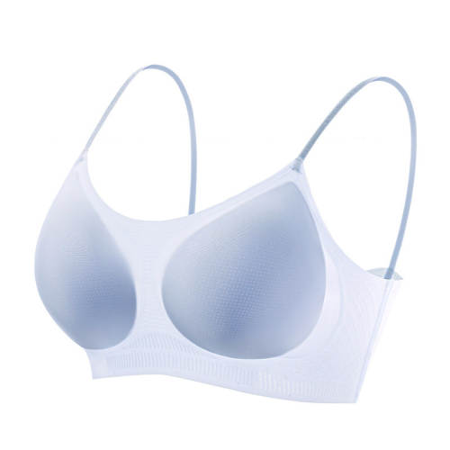 ���ڲ�����è��Ůʿ�޸�Ȧ�������2026�¿�۵�Һ�� M  63.2Ԫ