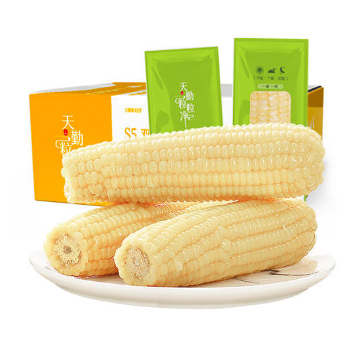 �����������л���Ŵ�������װ��װ���л�����Ŵ��������3�� �л�����Ŵ���� 260g*3�� 9.9Ԫ