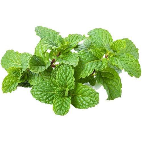 ���ʱ���Ҷ500g��ʳ������������決��׺����װ��Ī���в������� 100g 27.52Ԫ��4��(��6.88Ԫ/��)