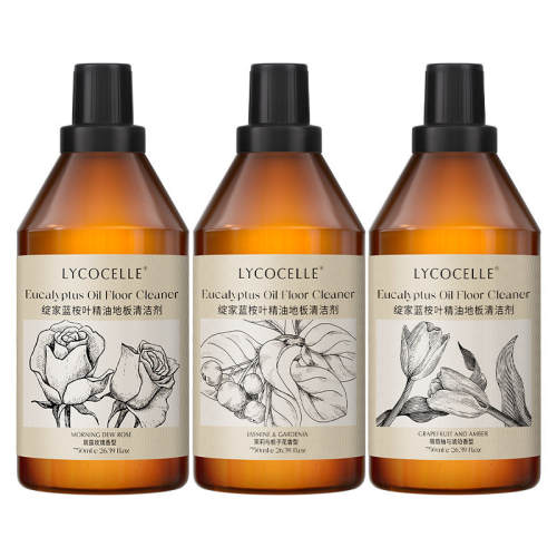���� ����Ҷ���͵ذ����� 750ml ���ӻ������� ֲ�ͻ��� 50.8Ԫ