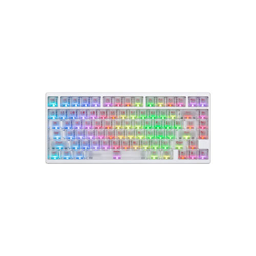 ��ʯͷ MG75V2 ȫ�������е���� ������ RGB��� gasket�ṹ 444.3Ԫ(������)
