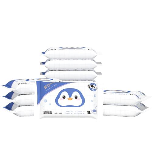����ʪ��ֽ˽���������ʪ�����10��10�� 1��  16.7Ԫ