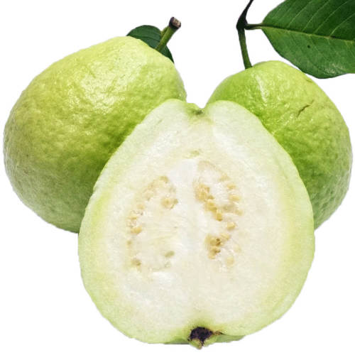 ������Ŵ���İ���5��ˮ����ժ������ʯ�����Ͱ��������������Ժ� 3��