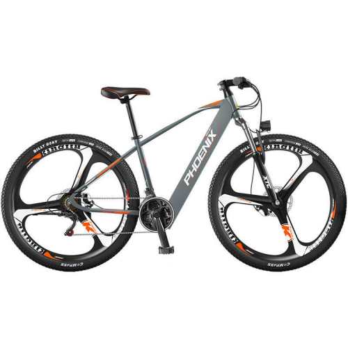 ���ڲ��������599﮵�ر���綯���г�48V 6AH ����/������/21��/�ٶȴ���  1479Ԫ