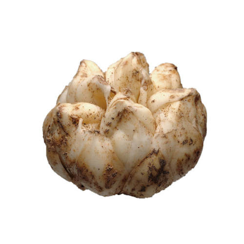 2025�������ʴ�ٺ��ز���ũ��ʳ��2500g����С�ٺ�500g΢������ 500g 4ͷ 18.49Ԫ