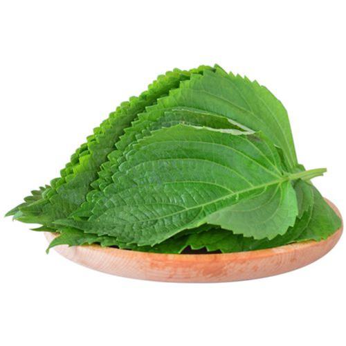 ��������Ҷʳ�ú�ʽ����ʳ�ĳ����ӱ�������Ҷ��ժ����Ҷ�ز����� 100g 8.95Ԫ