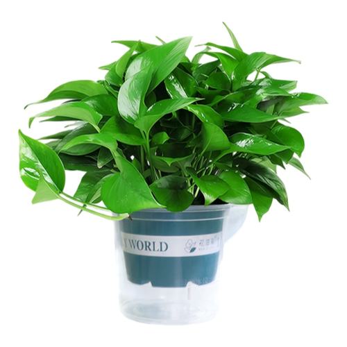 �Զ�������ˮ���ܣ�20�첻�ý�ˮ��ͨ��120#�Զ���ˮ���衾1�衿��2���ʡ��ػ�װ�� ����  6.72Ԫ
