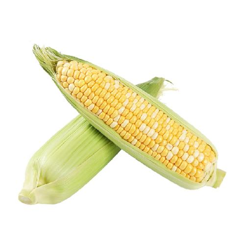 ˳�������������������ˮ�����װ��Ӱ��������� 3�� 15.29Ԫ