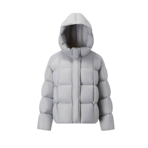 ��÷�ϡ��������ϡ� 155 ǧ���2025�����¿�̿���޷� 799Ԫ