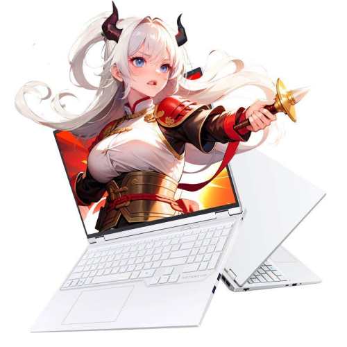 mechrevo/��е���� ����16Pro 16Ӣ�� R7-8840HX RTX5050 180Hz ��Ϸ�� 16G 512G ��ɫ 5199.2Ԫ(������)