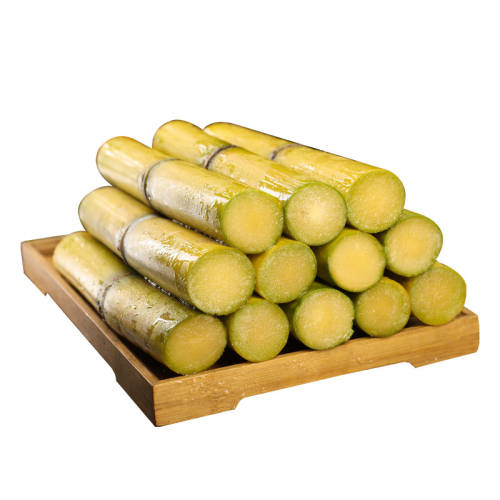 �������ϻƽ����9������ˮ�����������ƤȥƤ�����ж��������� 3�� 9.8Ԫ