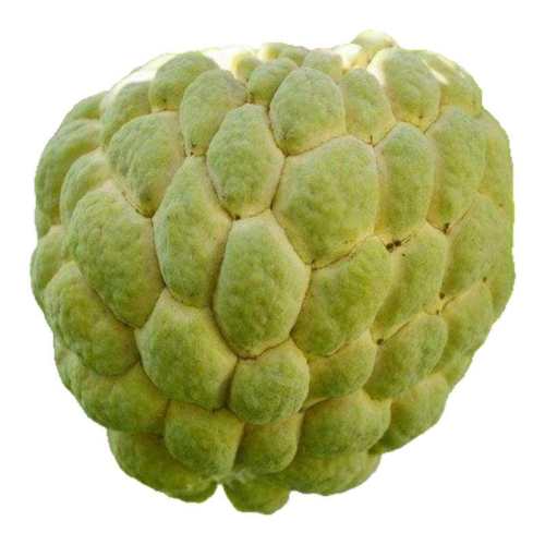 ���ڲ������й�3�ﵥ��150-250�� ��Ʒ��ժ˳�����ȹ����ʷ���֦��Ŀ����ţ�̷�ͷ������Ħ������� 44.8Ԫ