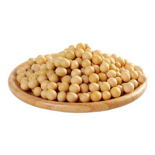 �ƶ�2�� 5�ﶫ���ƶ�10��󶹷�ת����򶹽�����ѿ�����¶�1/2/5/10�� 6.99Ԫ