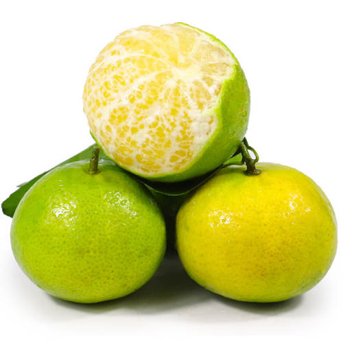 ��ժ�����ʵ۸�����ˮ�����������и���Ƥ���ӵ��������� 4.5�� ����50mm+ 13.8Ԫ