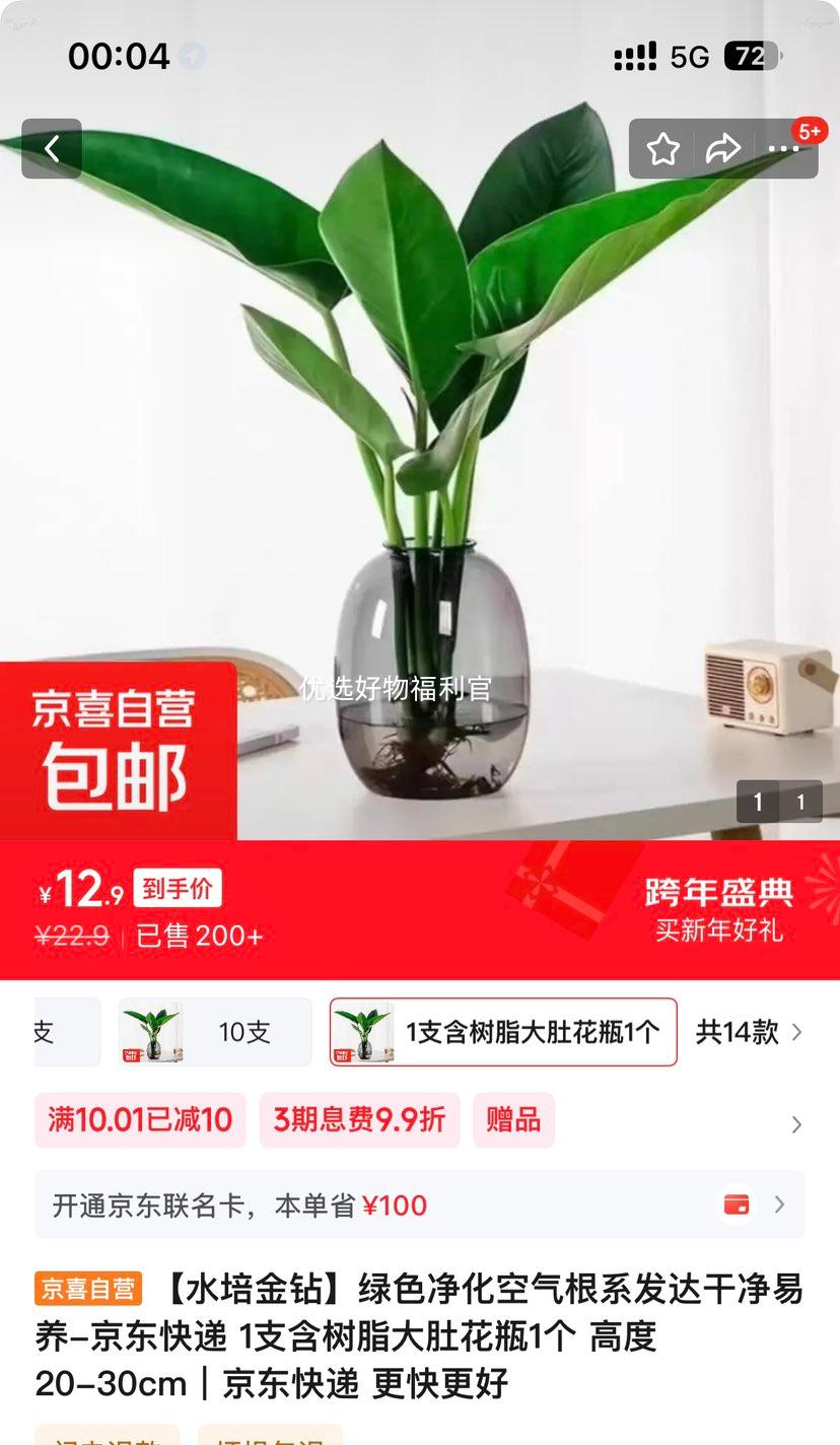 ˮ�������ɫ����������ϵ����ɾ����� 1֧����֬��ǻ�ƿ �߶�20-30cm�Ż�֤��