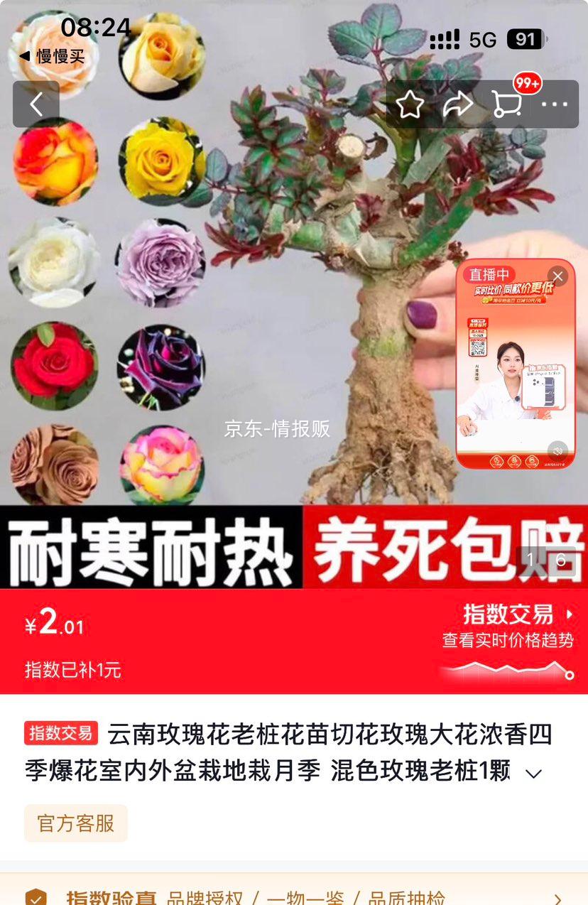 ����õ�廨��׮�л�õ���Ũ���ļ�������ɫ1�� ����ֱ���Ż�֤��