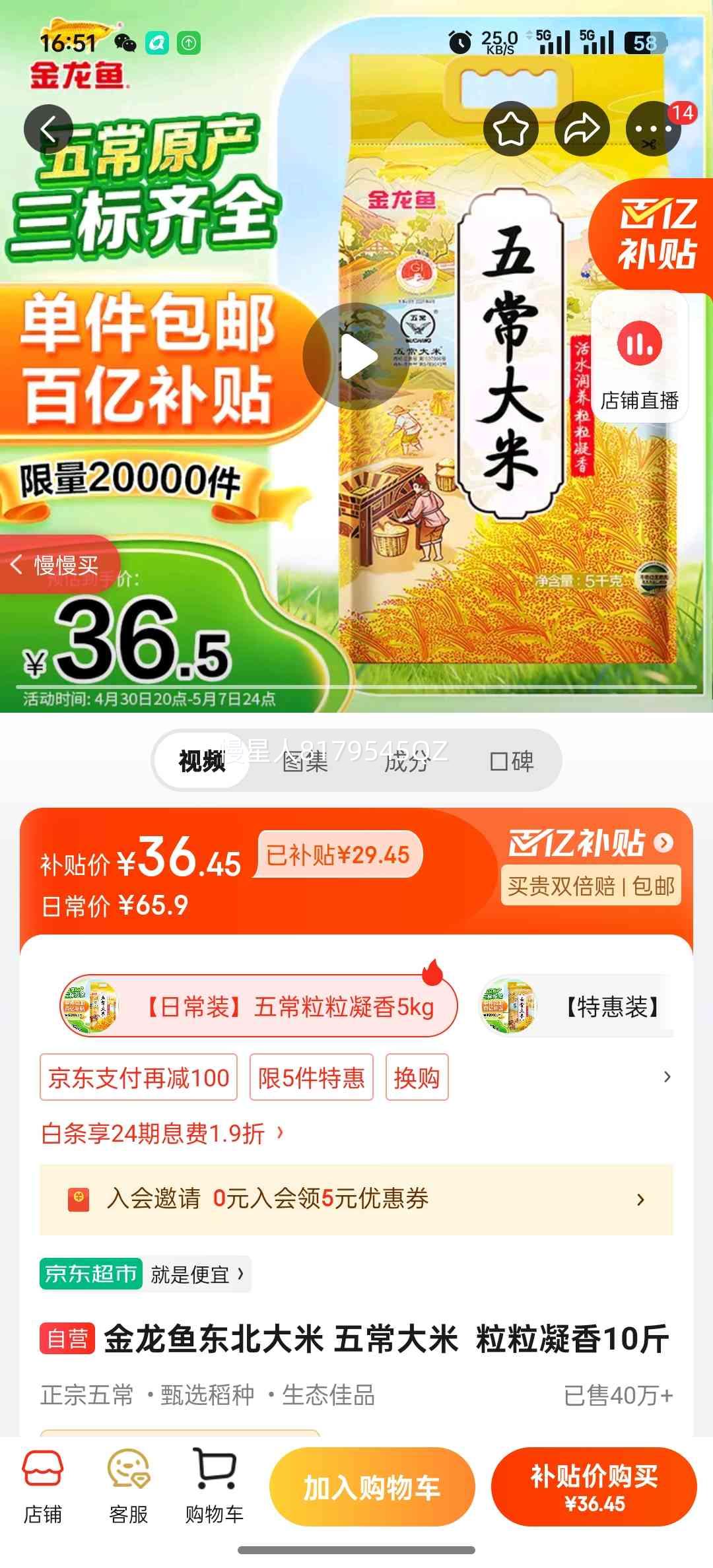 Arawana ������ �峣��������� �������� �������� 5kg�Ż�֤��