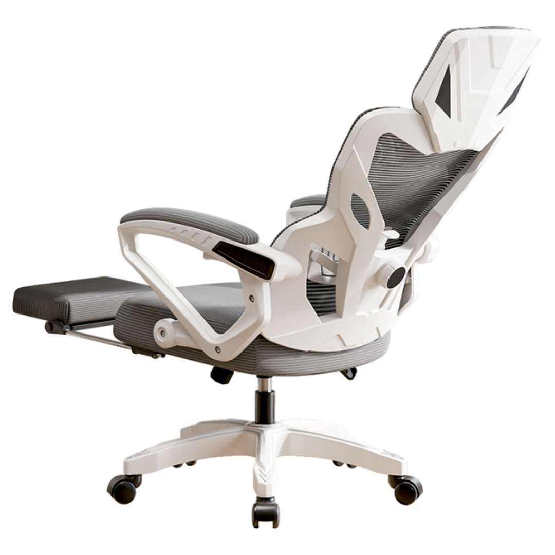 ��Ѱ ������ �羺���幤ѧ�� 135����� �齺 �׻�149Ԫ