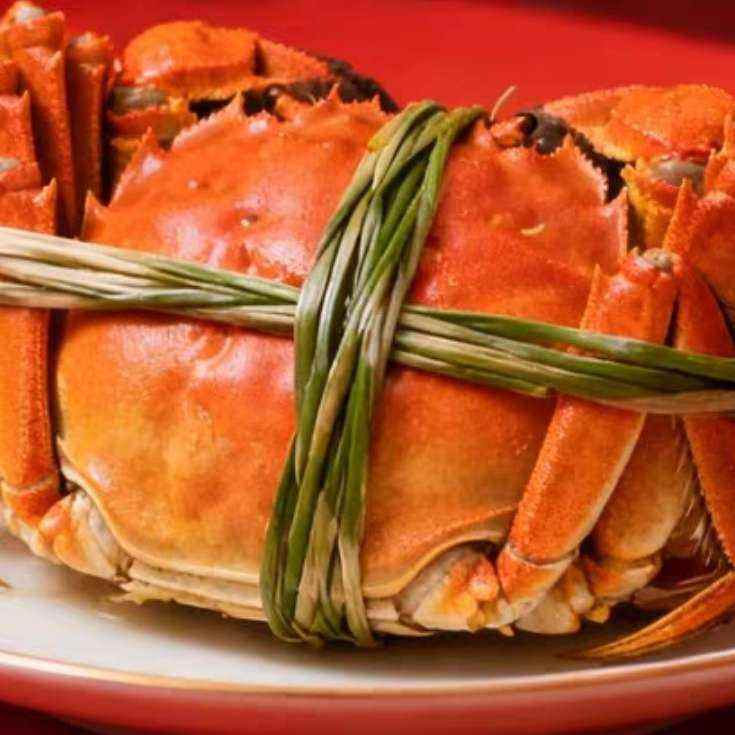 ٽۡ88VIP洫 չ̳Ǻʻբз 3.3-3.5 ĸ2.3-2.5 48ֻ