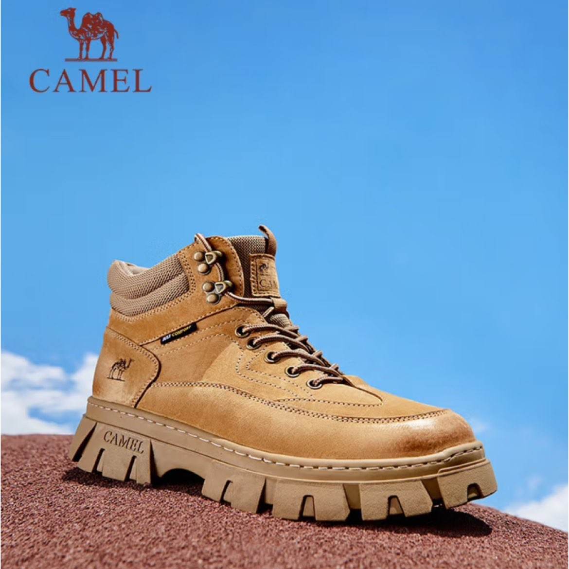 գCAMELװѥʱи߰ủѥ 224.31Ԫ