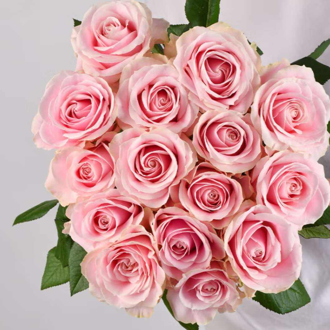 ʻ õ廨ɫ20֦ ɽ 23.66Ԫ