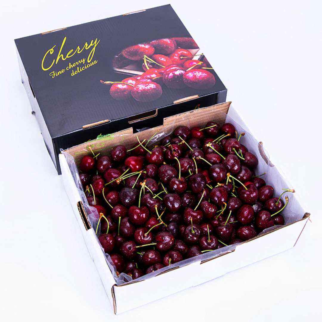 PLUSԱ ӽӣ ʵˮ 4XL24-26mm3.594.25Ԫȯ