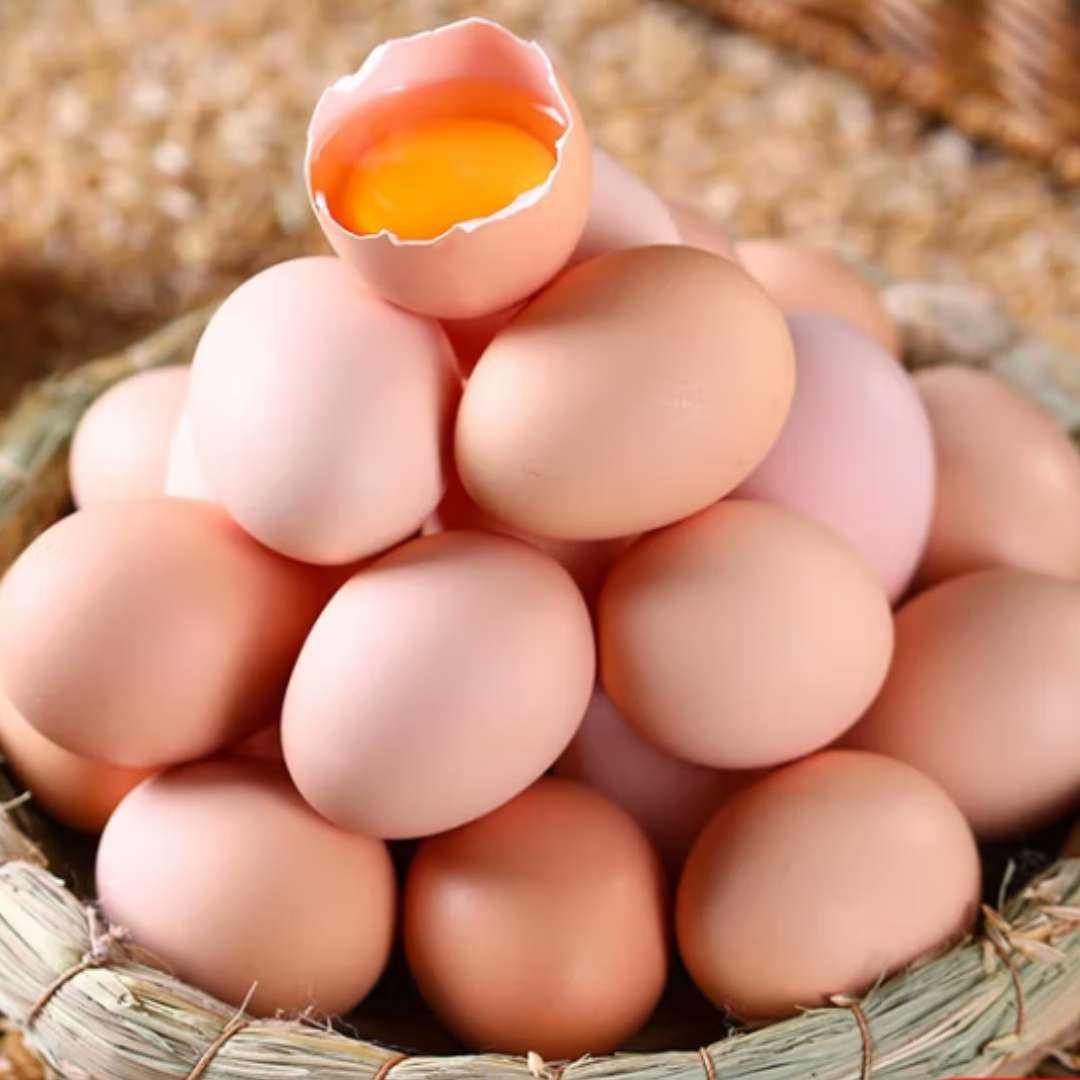ʼ ޿ Ӫ  ö50g+  ֱ 10öװ4.9Ԫȯ