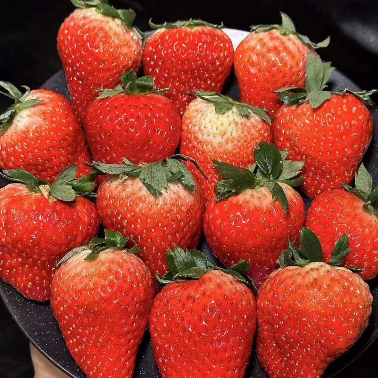 高中语文草莓 第2张
高中语文草莓 第2张