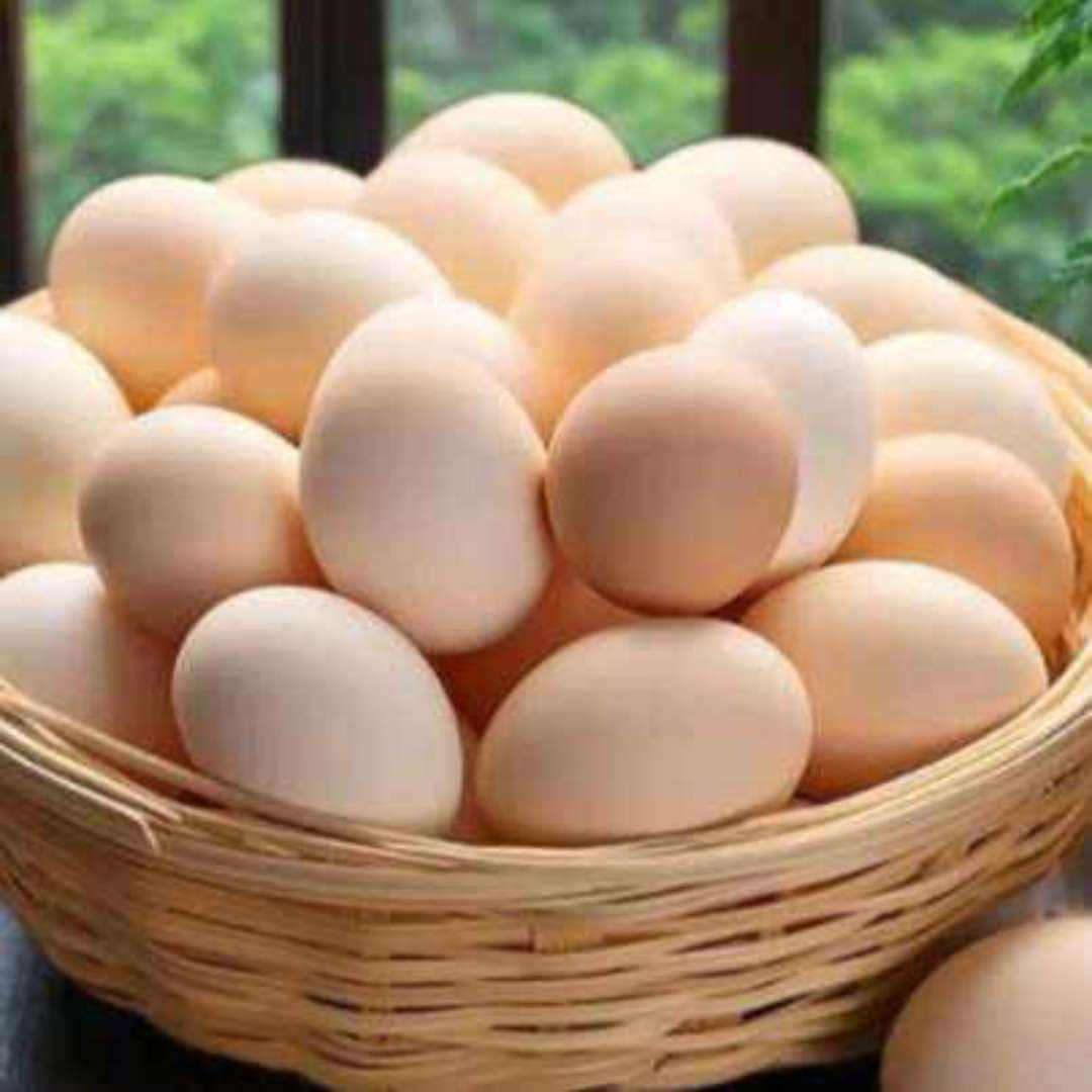 ʼ ũɢʼ ö50g5 10ö50/ö6.59Ԫȯ