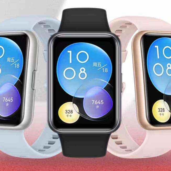 ΪWATCHFIT2ֱ ɫ392Ԫ