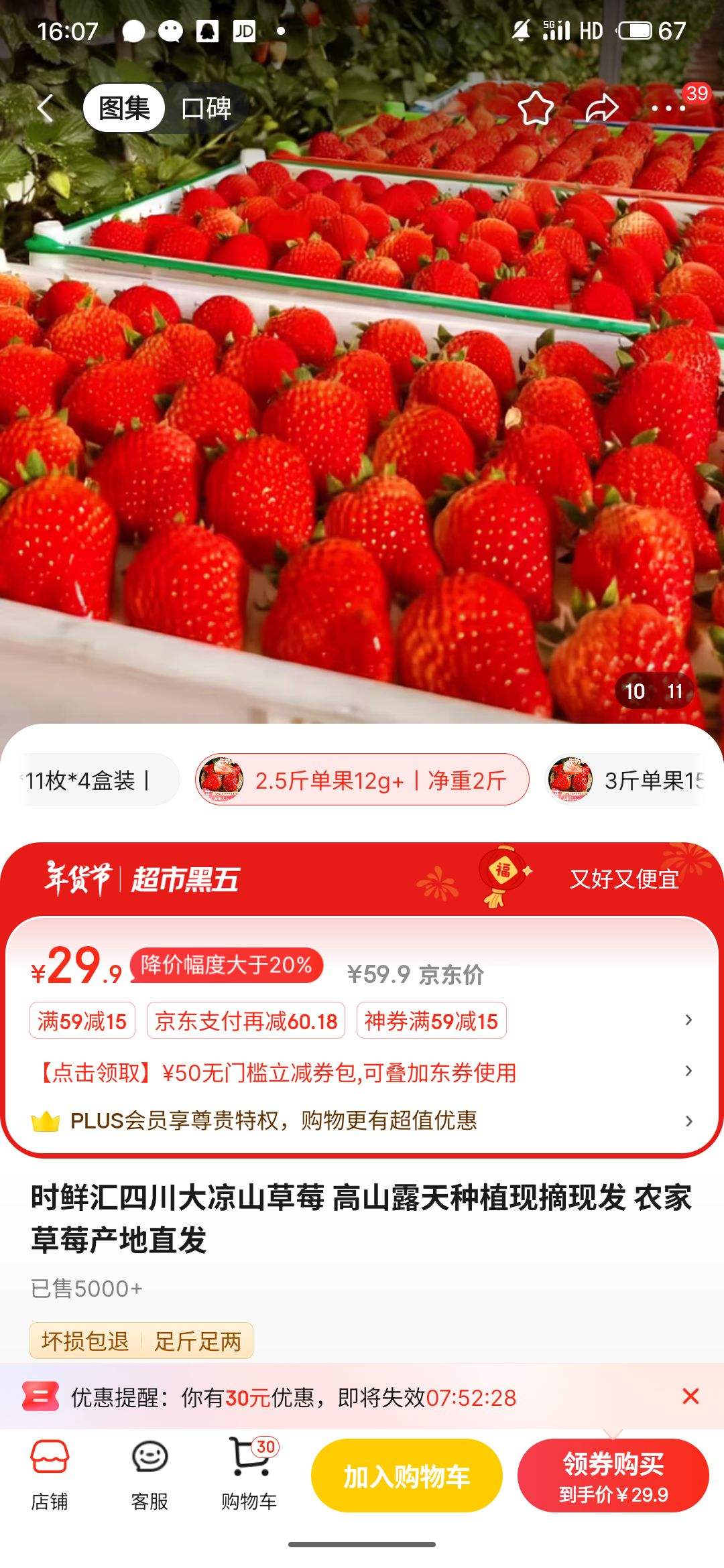 ʱ�ʻ� �Ĵ�����ɽ��ݮ ����2���Ż�֤��