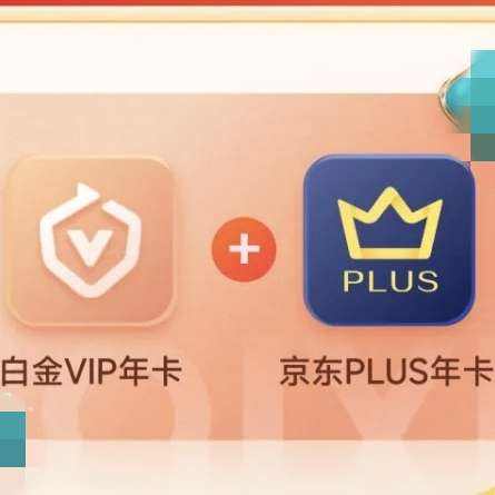 հ׽VIPԱ꿨 + PLUS꿨()249Ԫȯ(ֵ֧Ӷ)