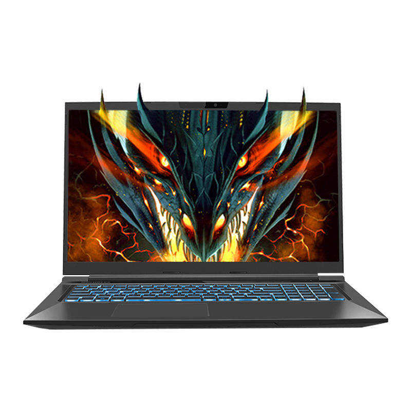 е Ʒ17K R7 4060 17.3ӢϷʼǱ4895Ԫȯ