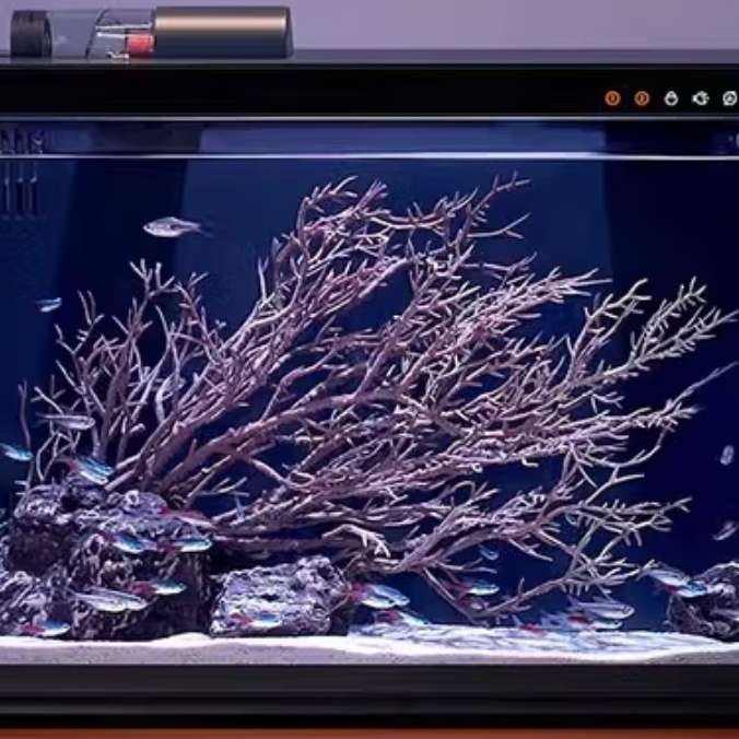 С ׼׿С쾰̬ñײѭԶιʳ Сסѽ׼APP299Ԫȯ