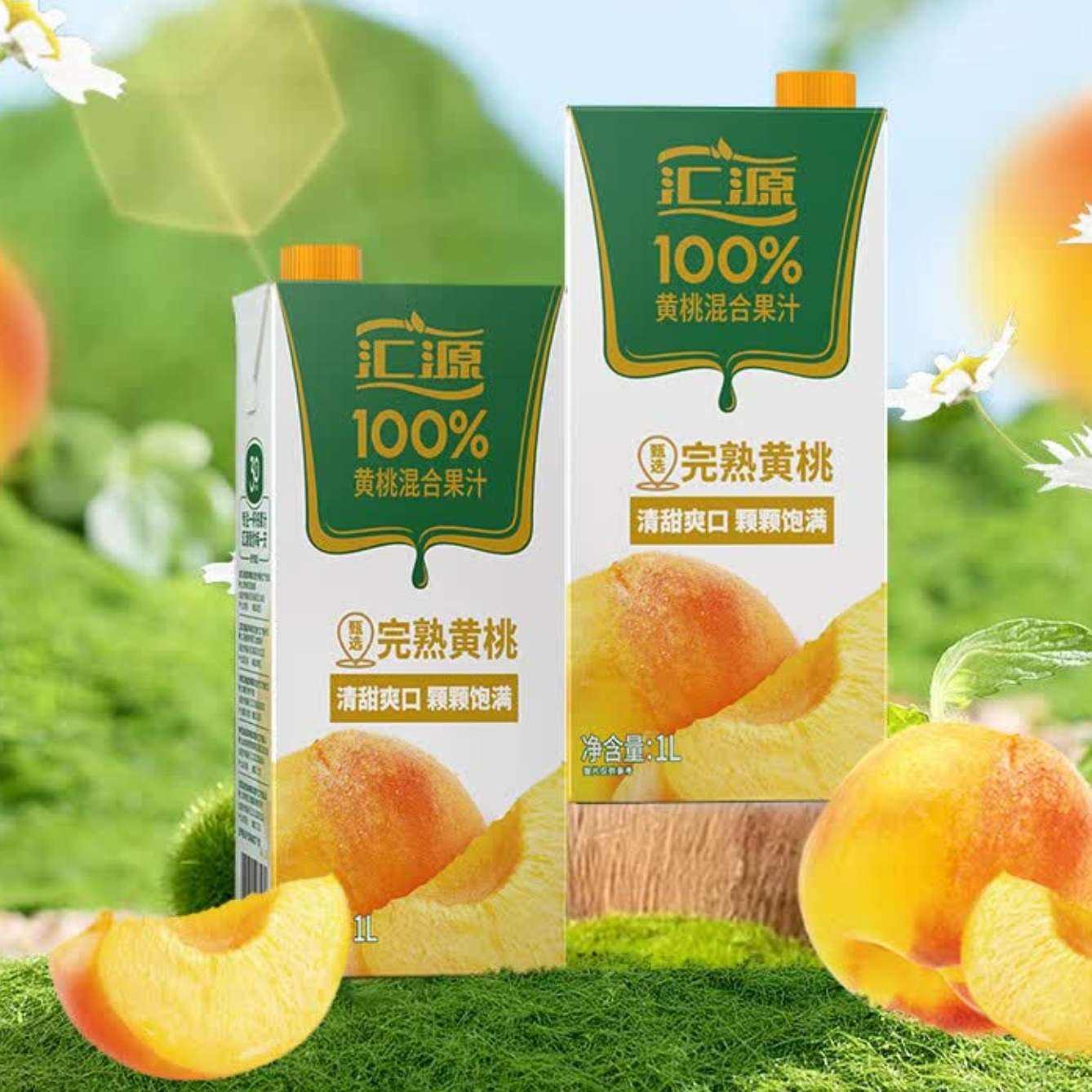 Դ  100%֭ ҸϹ֭ 1L*219.9Ԫʣȯ