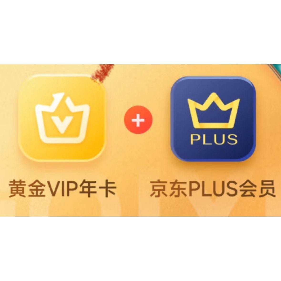 հ׽VIPԱ꿨12ֵ֧ӶPLUSԱ꿨249Ԫȯ