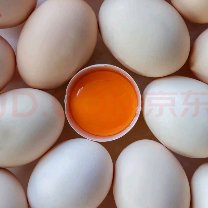 ڲ:ÿʵ޿Ｆ30ö 3.18 ղ շ19.9Ԫ